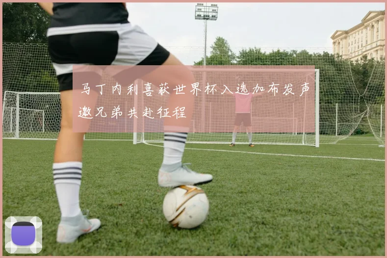 马丁内利喜获世界杯入选加布发声邀兄弟共赴征程